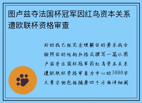 图卢兹夺法国杯冠军因红鸟资本关系遭欧联杯资格审查